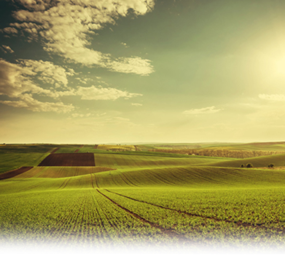 agri 2