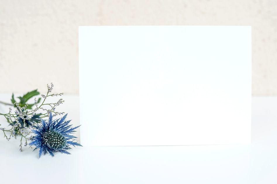 Creating Pages with Divi Builder